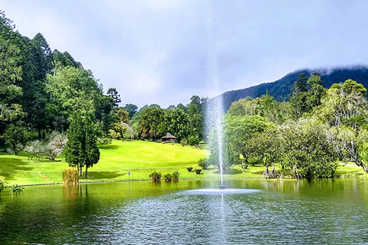 Wisata Kebun Raya Cibodas